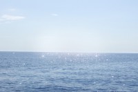 /album/fotogalereya/large-2-jpg/